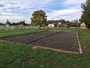 pétanque